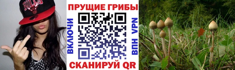 Галлюциногенные грибы мухоморы  Самара 
